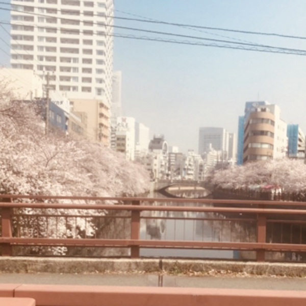 313m3n7アルバムアート